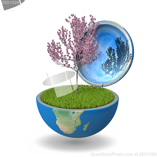 Image of Tree inside planet