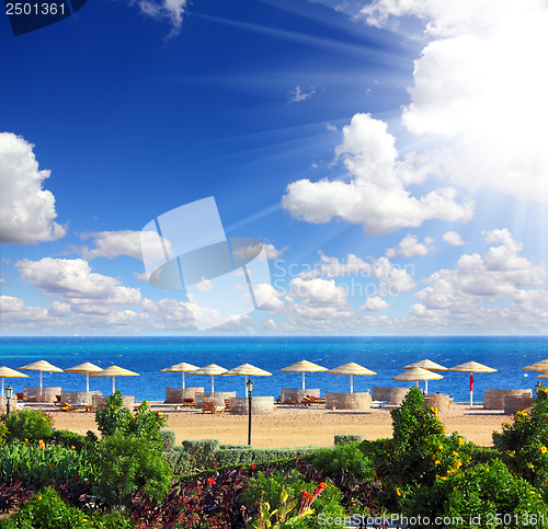 Image of tropical beach and Red Sea