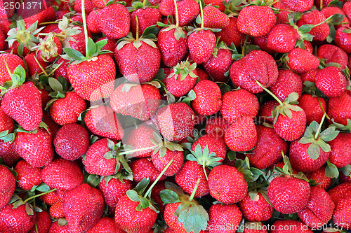 Image of strawberry background