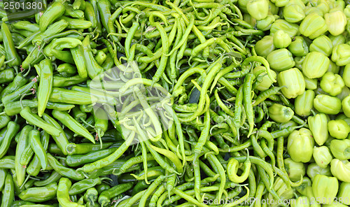 Image of different varieties of green peppers