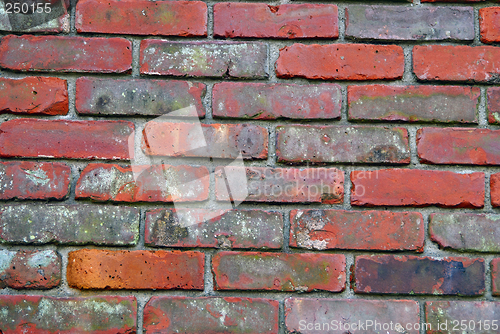 Image of Brick wall