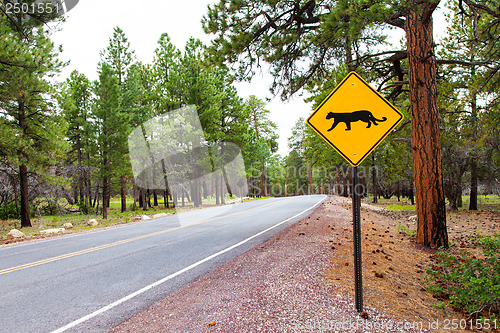 Image of Grand Canyon Road