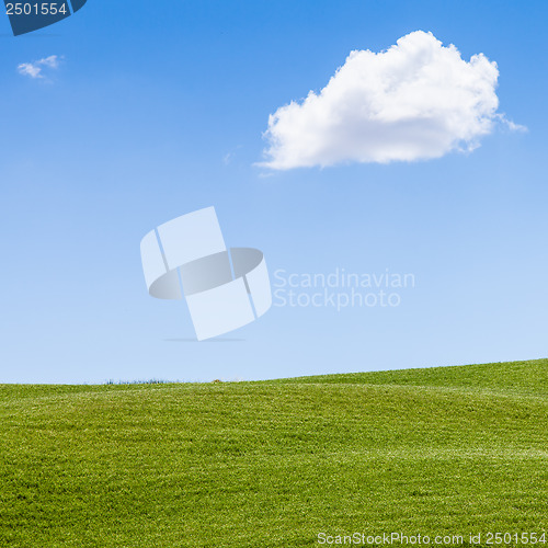 Image of Green field in Tuscany