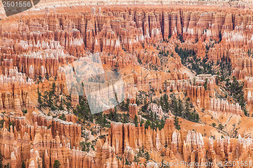 Image of Bryce Canyon