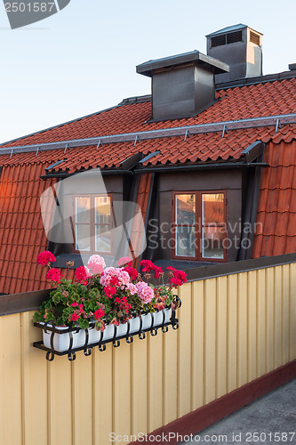 Image of Roof terrace decorated with geraniums