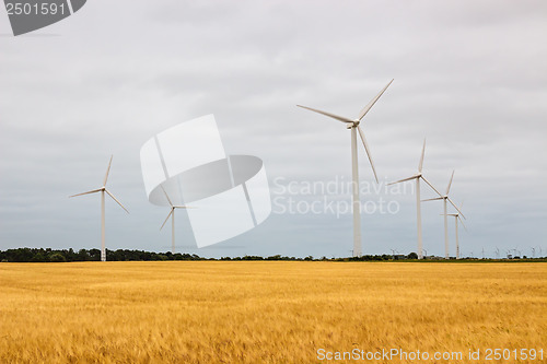 Image of Wind turbines in a yellow field