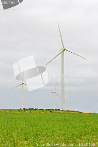 Image of Wind turbines in a green field