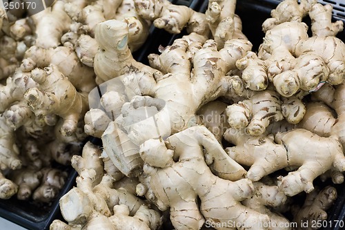 Image of Ginger Root