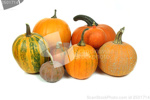 Image of Pumpkins isolated