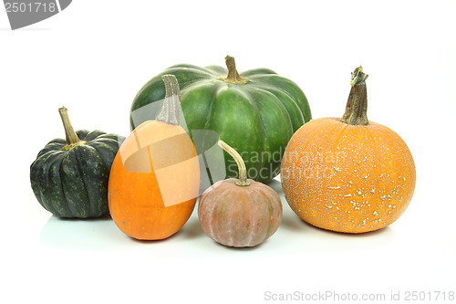 Image of Pumpkins isolated