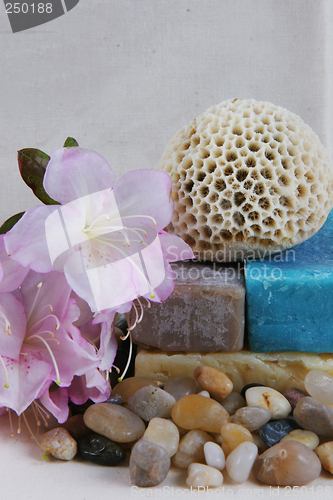 Image of Coral on soap with pebbles and flowers