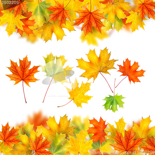 Image of frame from autumn leaves isolated on white