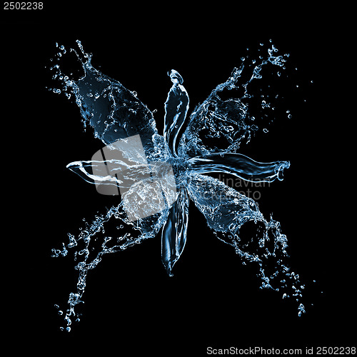 Image of flower from water splashes isolated on black