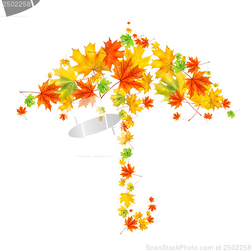 Image of umbrella from autumn leaves isolated on white