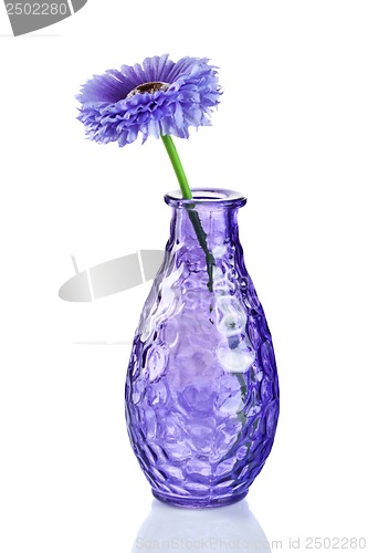 Image of Blue flower in vase isolated on white