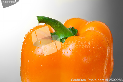 Image of Yellow pepper on white