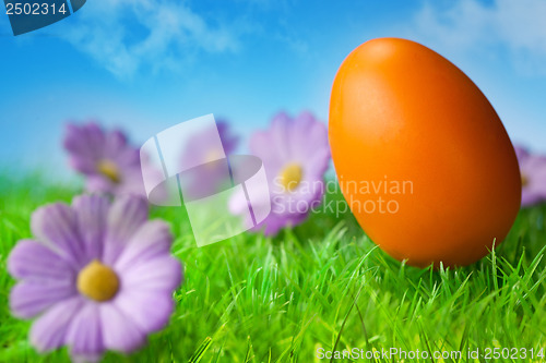 Image of Orange easter egg in the grass against blue sky