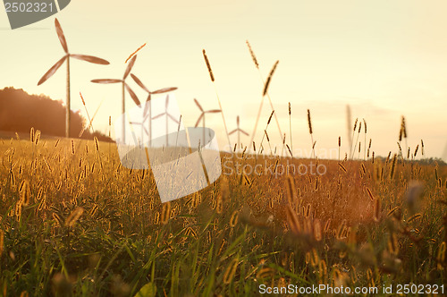 Image of wind generator turbines on sunset