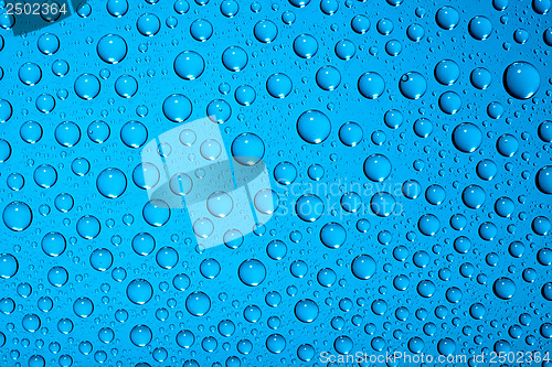 Image of water drops on blue