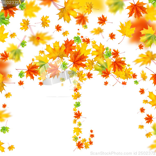 Image of umbrella from autumn leaves isolated on white