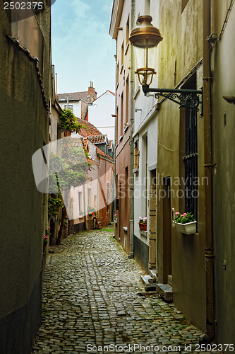 Image of Old street with flowers in Brussels, Belgium