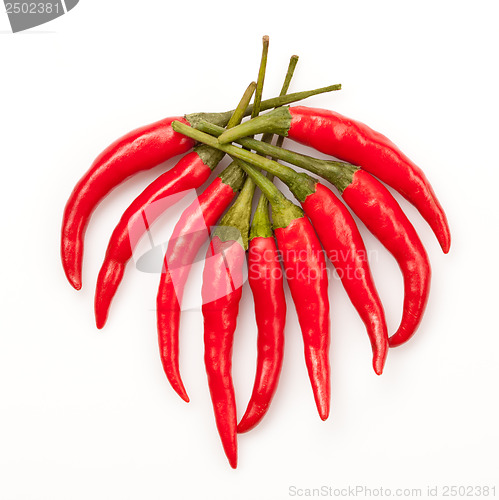 Image of chili pepper isolated on white