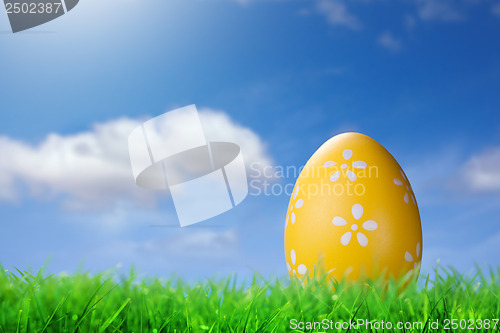 Image of Color easter egg in the grass against blue sky