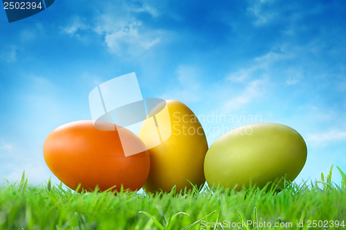 Image of Color easter eggs in the grass against blue sky