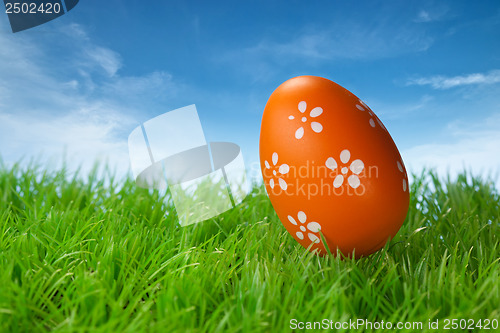 Image of Color easter egg in the grass against blue sky