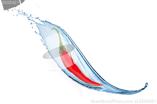 Image of chili pepper with water splash isolated on white