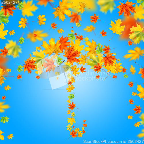 Image of umbrella from autumn leaves against blue sky