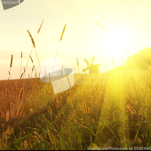 Image of field on sunset