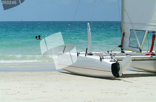 Image of Catamaran on the beach