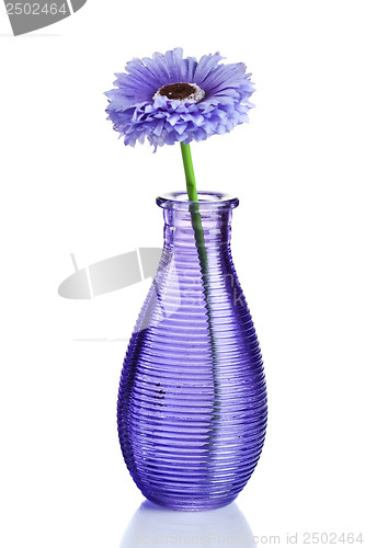 Image of Blue flower in vase isolated on white