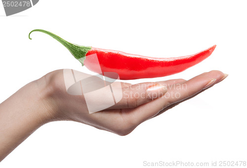 Image of chili pepper and human hand isolated on white