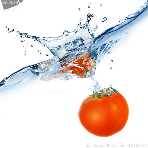 Image of red tomato dropped into water isolated on white