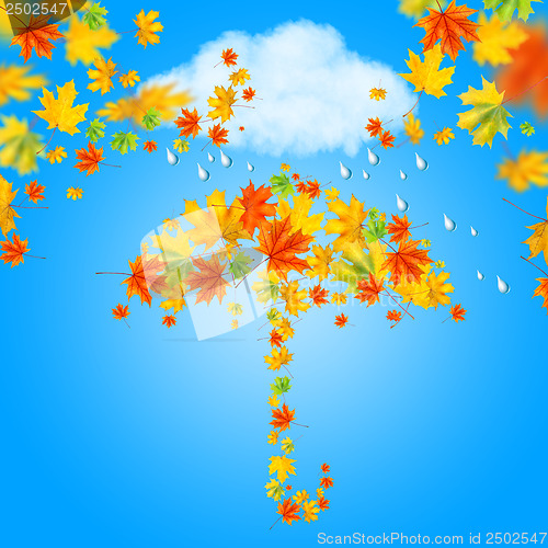 Image of umbrella from autumn leaves under cloud and rain