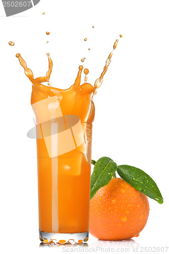 Image of orange juice splash in glass with tangerine isolated on white