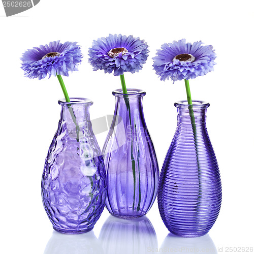 Image of Blue flowers in vases isolated on white
