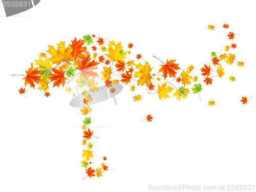 Image of umbrella from autumn leaves isolated on white