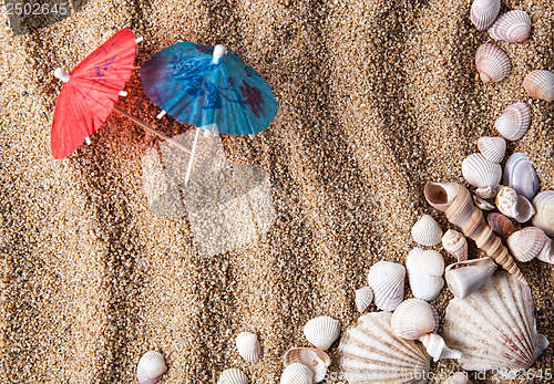 Image of frame from various shells on sand