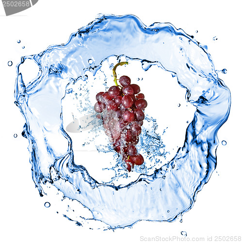 Image of blue grape with water splash isolated on white
