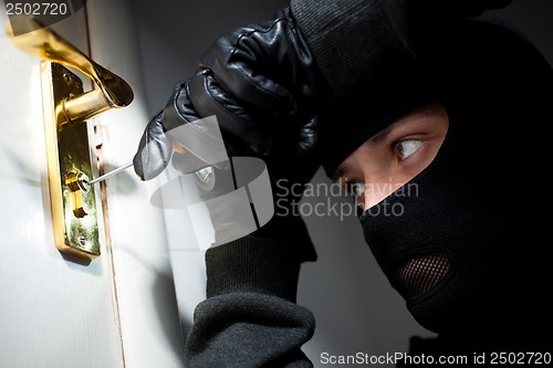 Image of Thief Burglar opening  door