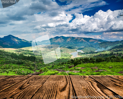 Image of Tea plantations in India