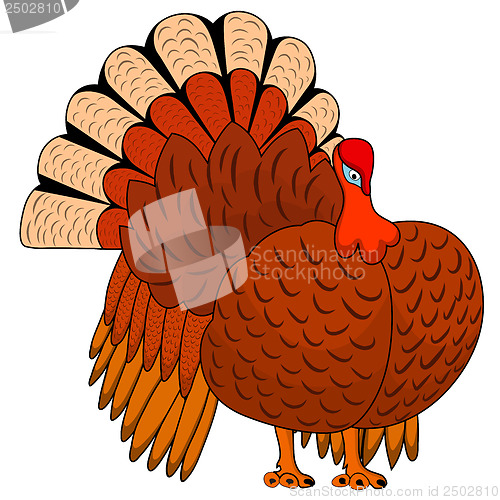 Image of Thanksgiving Day Turkey