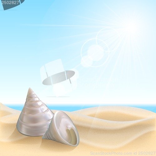 Image of Shell on the beach