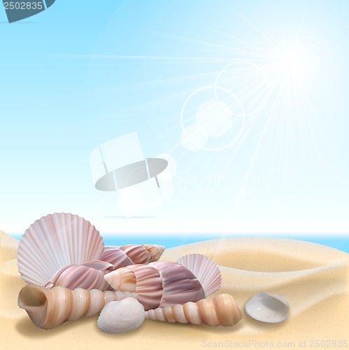 Image of Shell on the beach