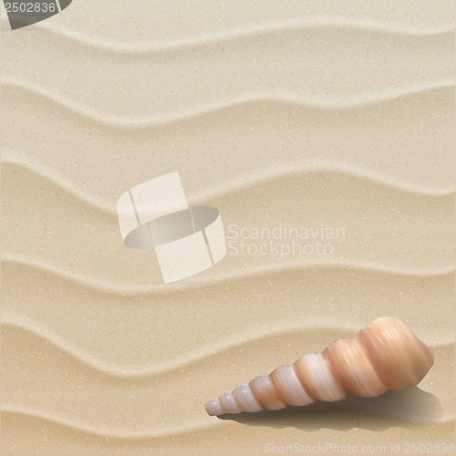 Image of Marine background with seashell on sand.