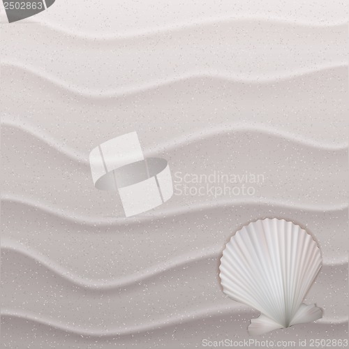 Image of Marine background with seashell on sand.