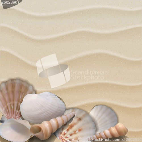 Image of Marine background with seashells on sand.